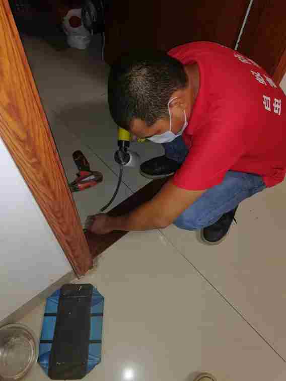 白蚁防治
